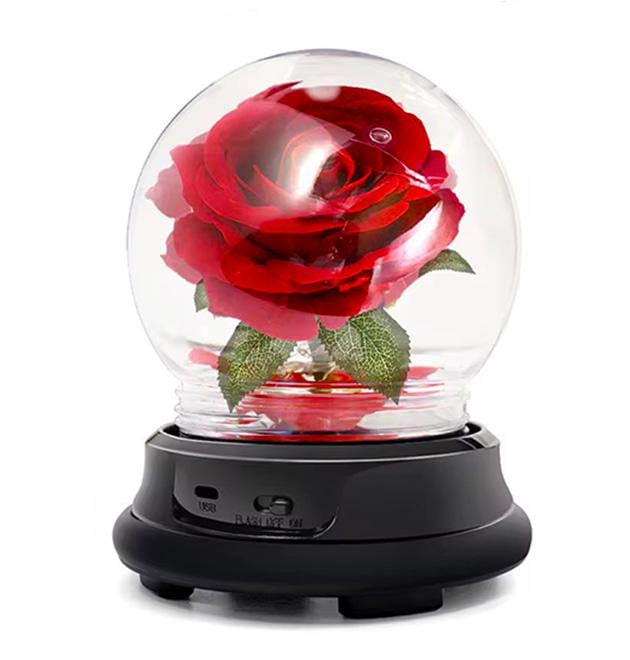 Ночник Роза в колбе с подсветкой подарочная Черный/Красный Ночник Роза в колбе с подсветкой подарочная Черный/Красный