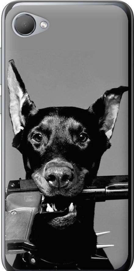 Чехол на HTC Desire 12 Доберман (2745u-1476-42517) Чехол на HTC Desire 12 Доберман (2745u-1476-42517)