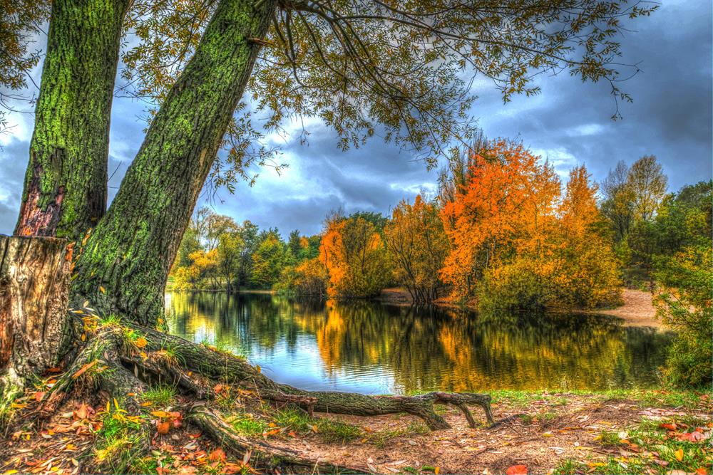 Картина Природа PR234 35х55 см