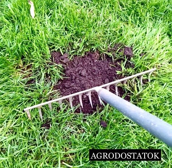 Насіння для газону ADS Газон для ремонту Premium 4 кг (2733796288) - фото 4 Насіння для газону ADS Газон для ремонту Premium 4 кг (2733796288) - фото 4