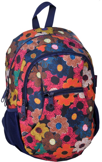 Рюкзак городской PASO молодежный с принтом 24 л Разноцветный (14-178I)