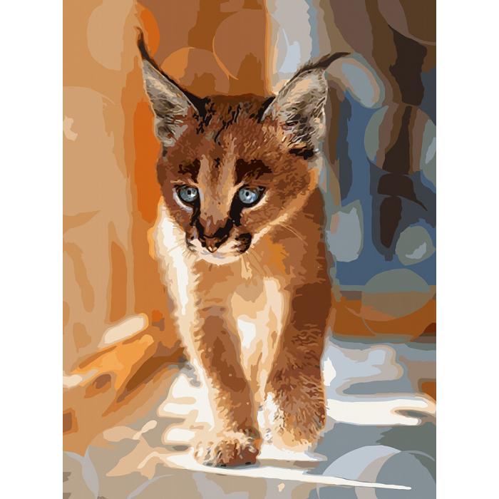 Картина по номерам Ideyka Маленький каракал кно4165 40x50 см (MTT-118732)