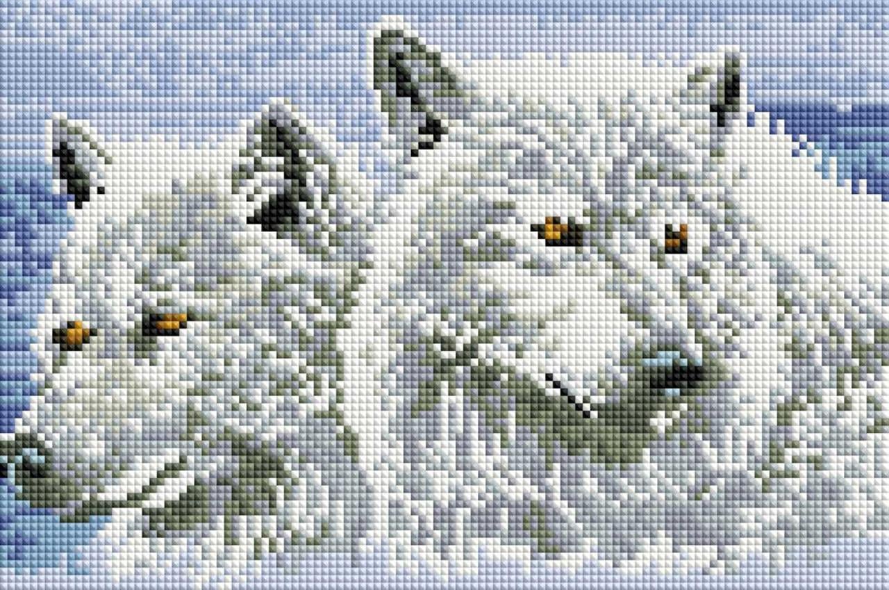 Алмазная мозаика ColorArt Пара волков 20х30 см (DT715)