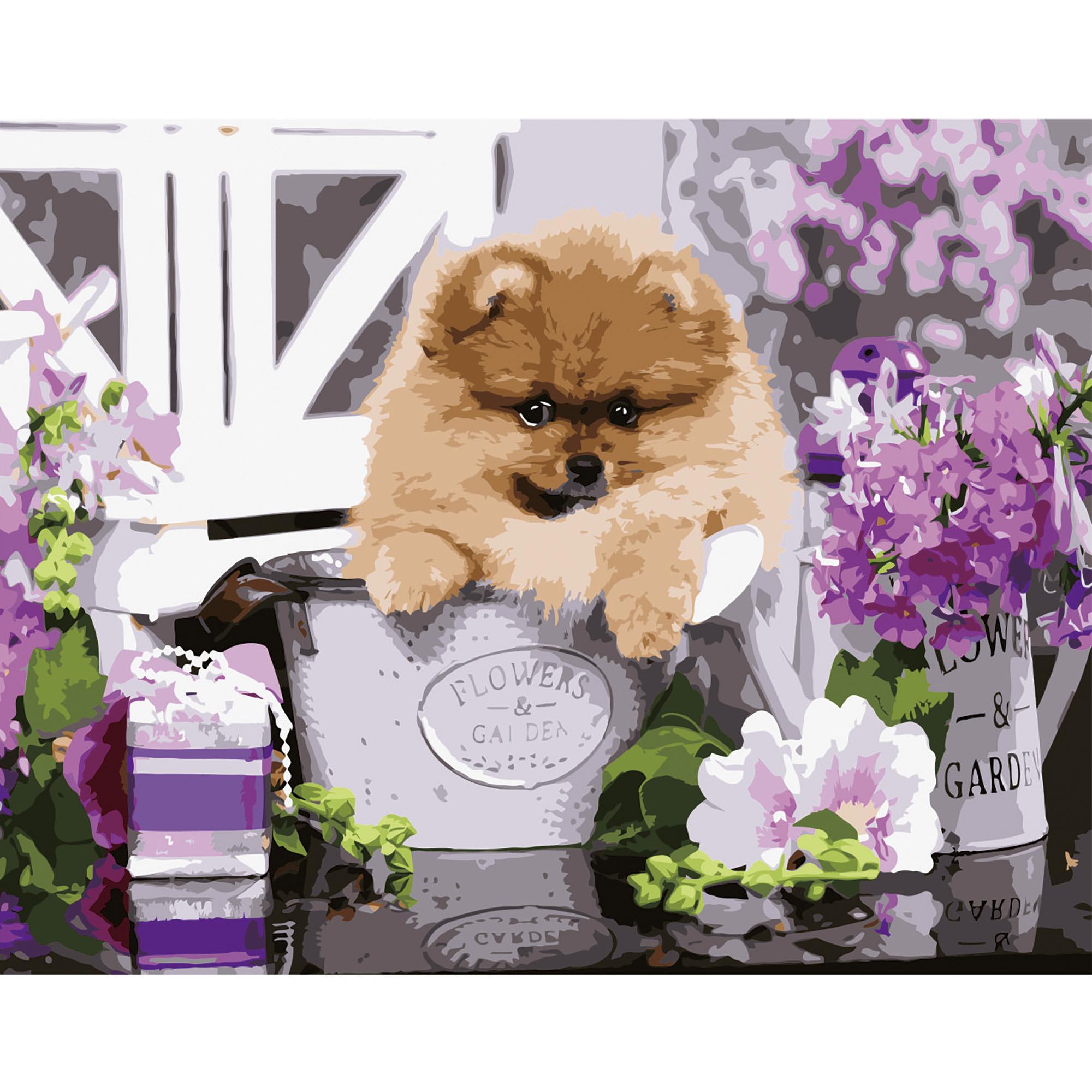 Картина по номерам Strateg Шпиц в подарок 40x50 см (VA-2675)