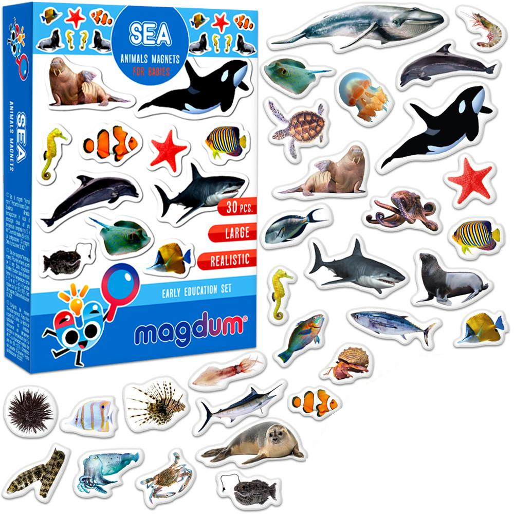 Набір магнітів Magdum Морські фото (ML4031-28 EN)