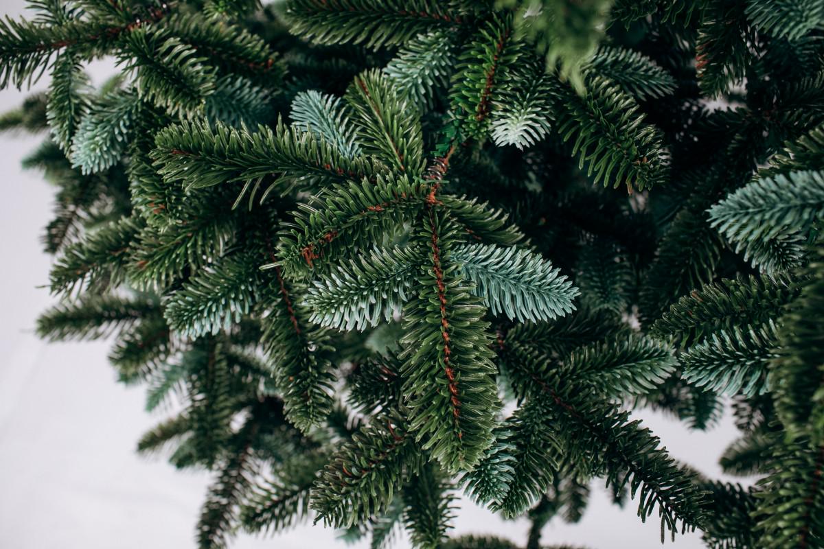 Елка литая Канадская 2,5 м Зеленый с голубыми кончиками - фото 2 Елка литая Канадская 2,5 м Зеленый с голубыми кончиками - фото 2