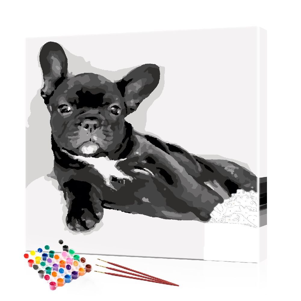 Картина по номерам ArtSale Бульдог PBN0863 40х40 см