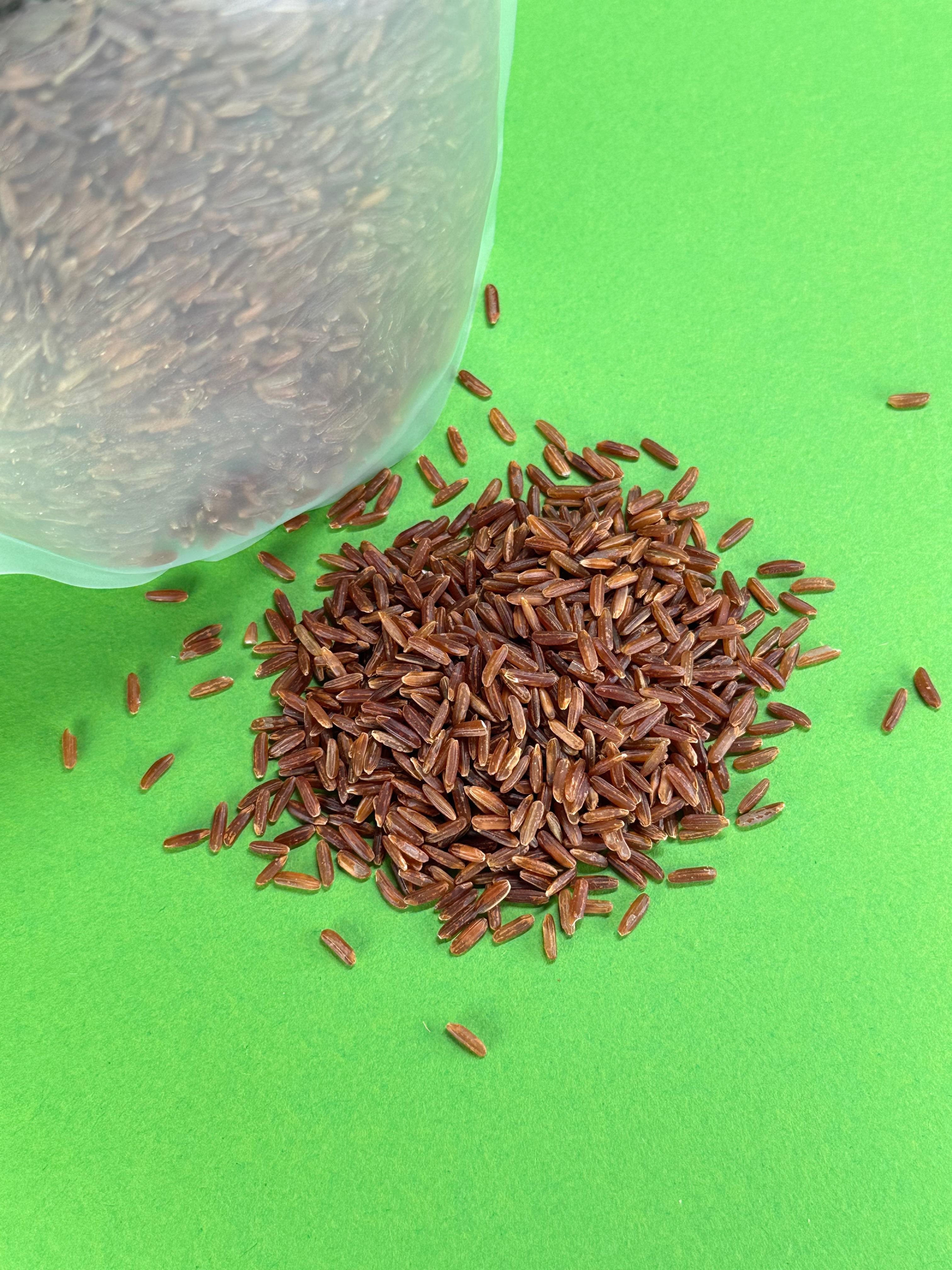 Рис червоний дикий нешліфований 350 гр - фото 9