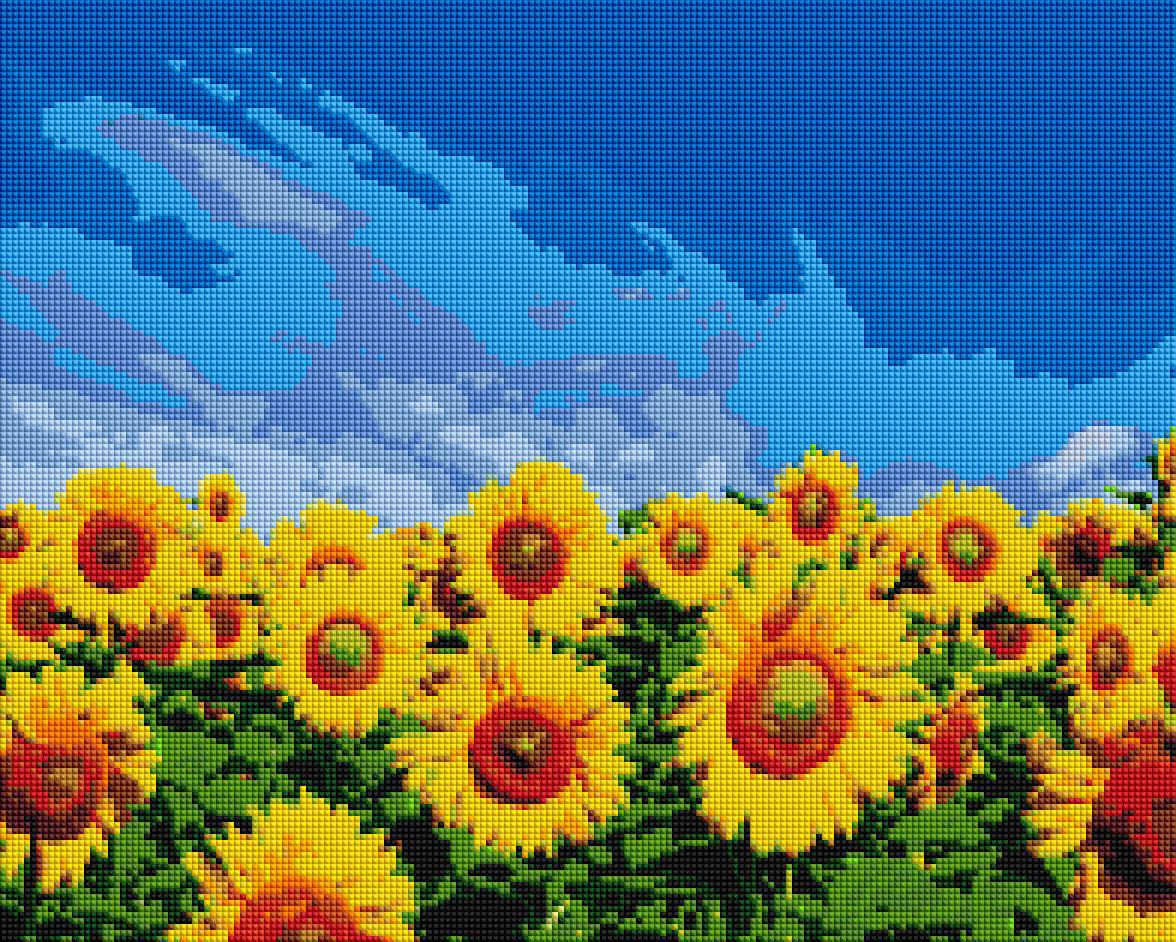 Алмазная мозаика Brushme Поле подсолнечников 40x50 см (DBS1003)