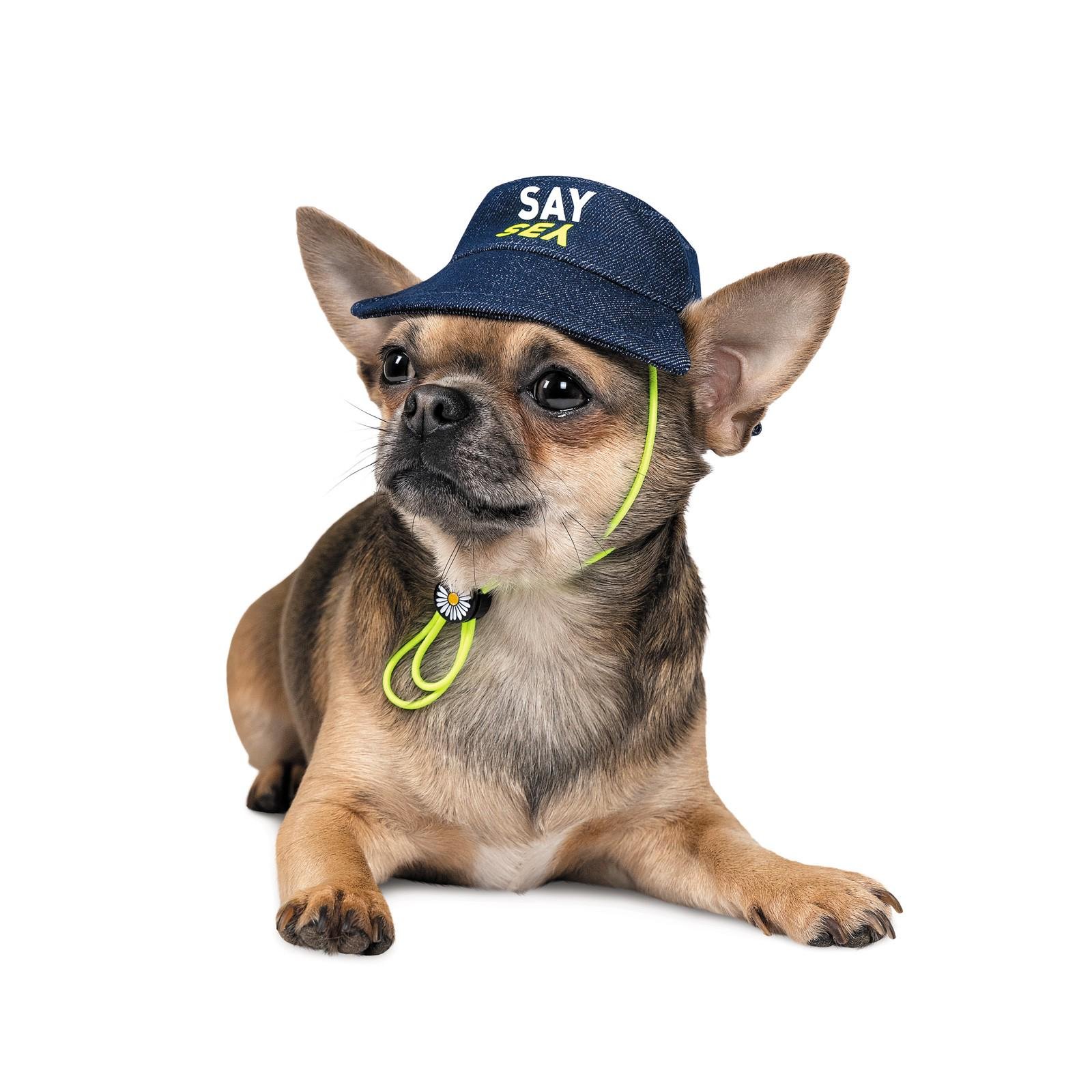 Панама Pet Fashion Party XS Синий (PR242540)