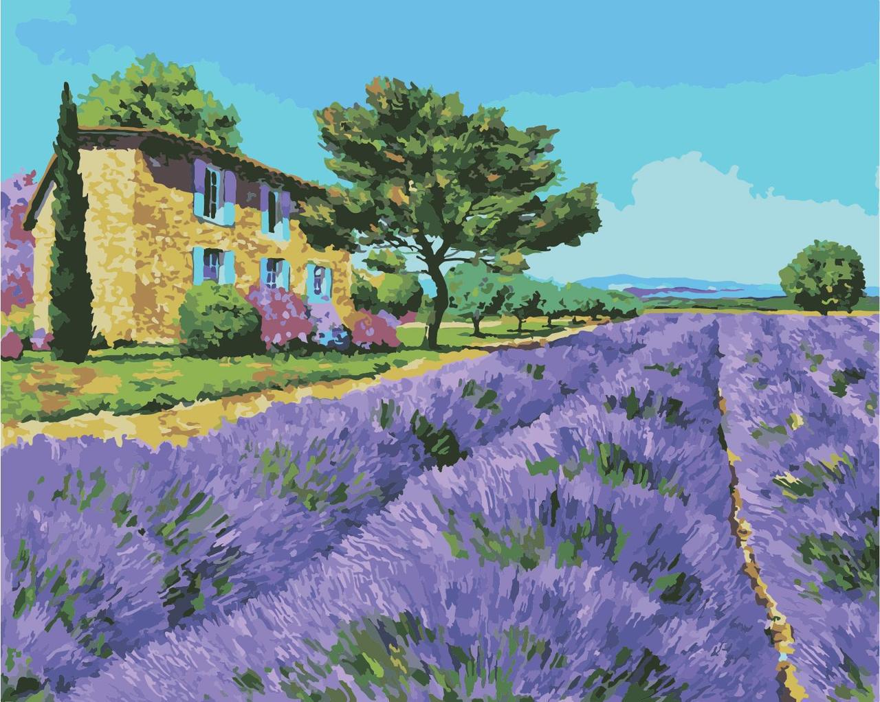 Картина по номерам Идейка Лавандовое поле 40x50 см (skl-КНО2062)