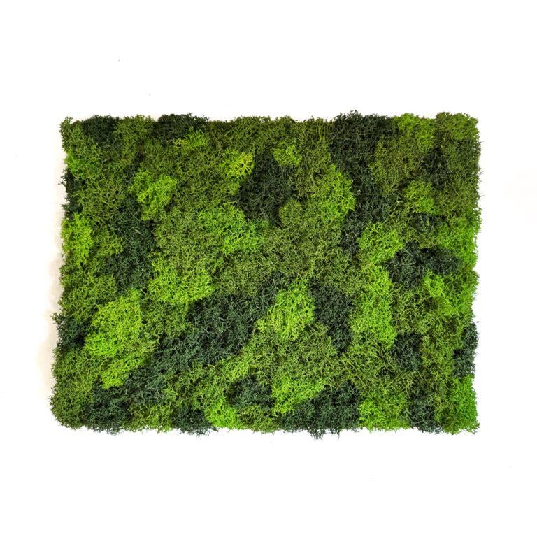 Фитомодуль из стабилизированного мха микс 30х40 см