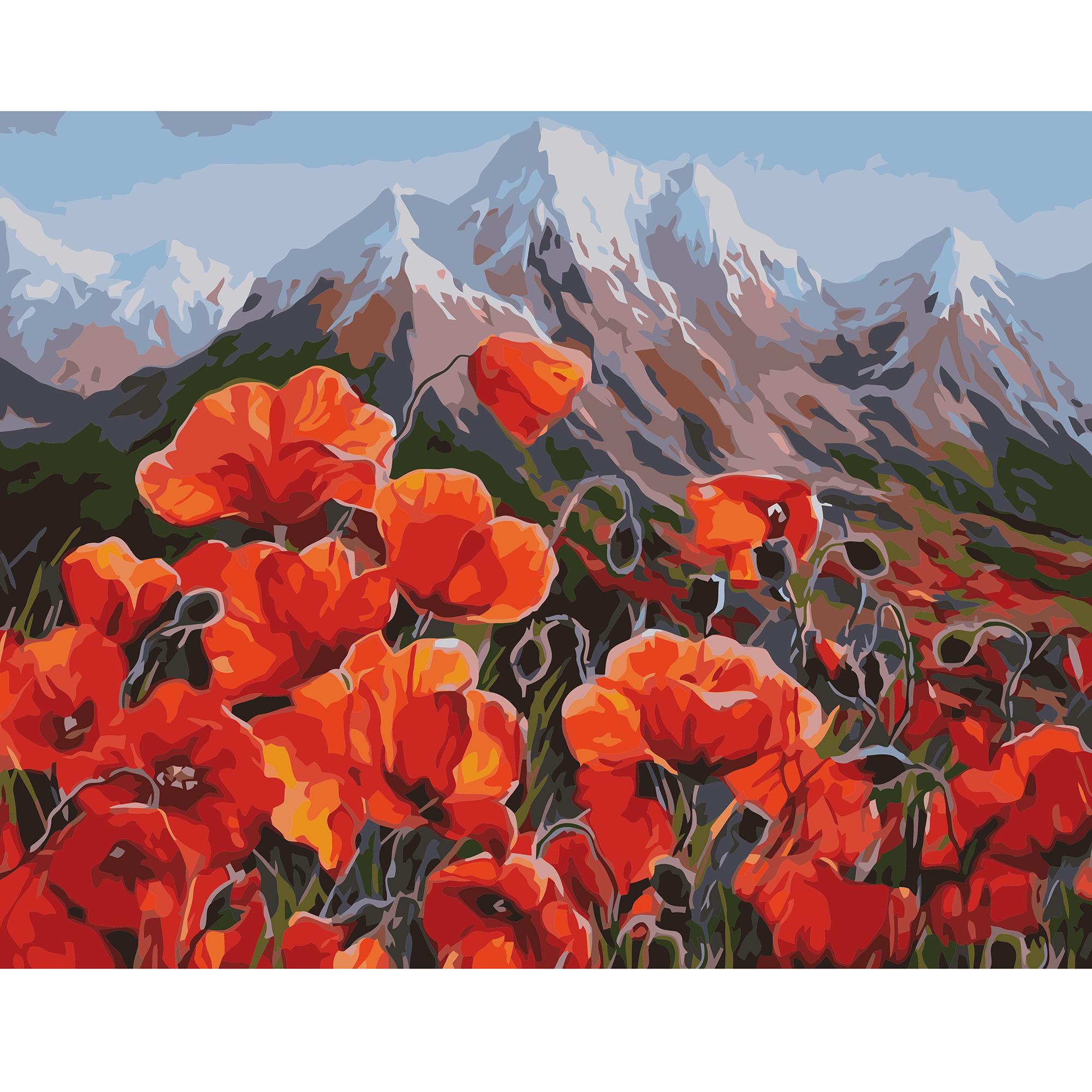Картина по номерам Strateg Маки в подгорье 40x50 см (VA-0639)