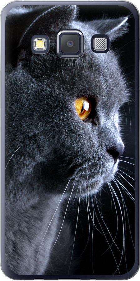 Чехол на Samsung Galaxy A3 A300H Красивый кот (3038t-72-42517)