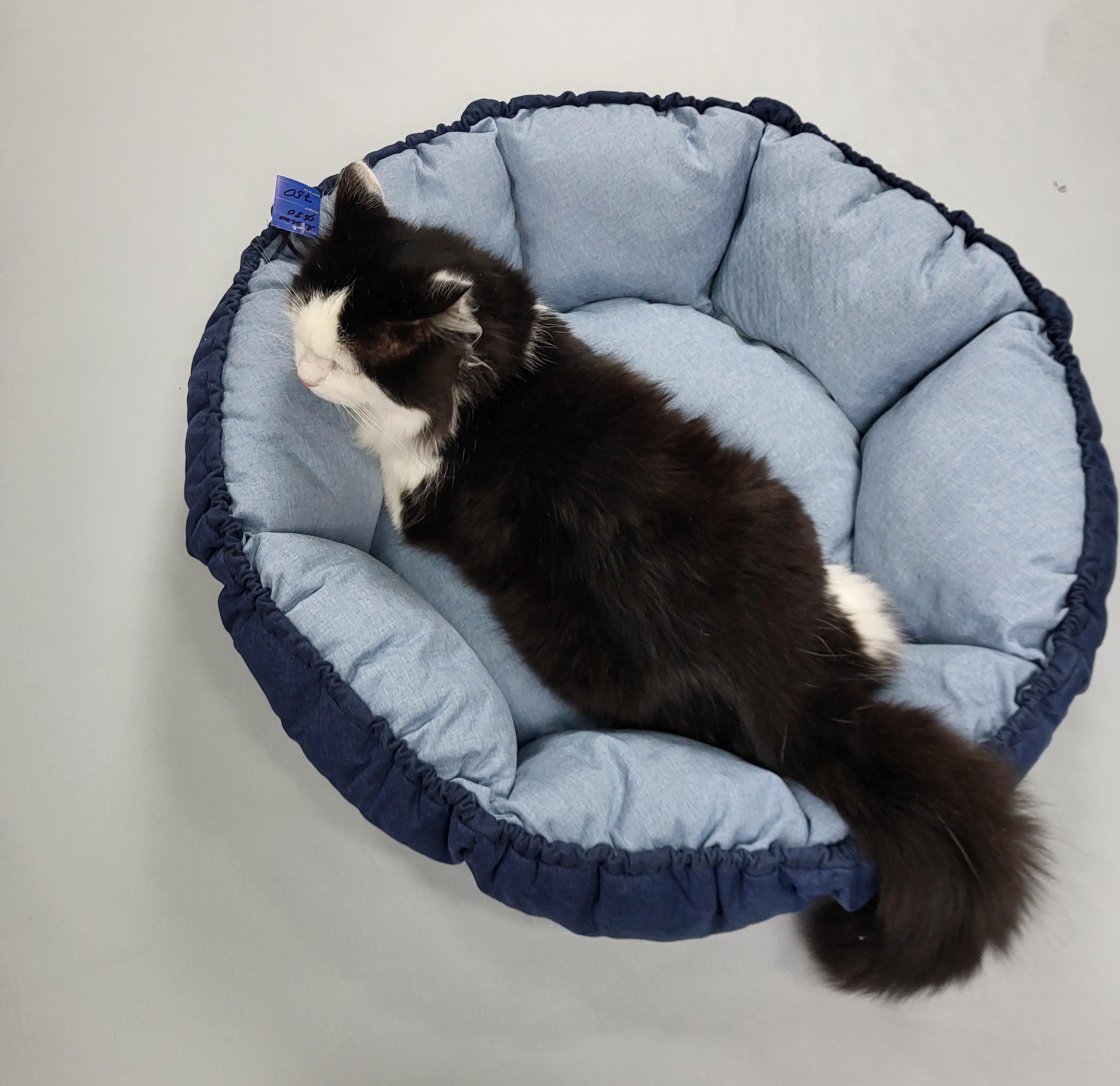 Лежанка для собак и кошек 90х90 см (1475) - фото 3 Лежанка для собак и кошек 90х90 см (1475) - фото 3