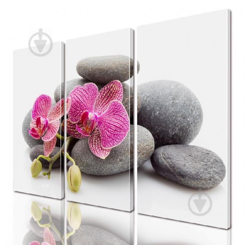 Модульная картина ArtStar цветы Орхидея ADFL0186 размер 95 х 120 см