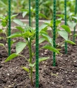 Опора для растений REBAR композитная с ребром 6 мм 2 м Опора для растений REBAR композитная с ребром 6 мм 2 м