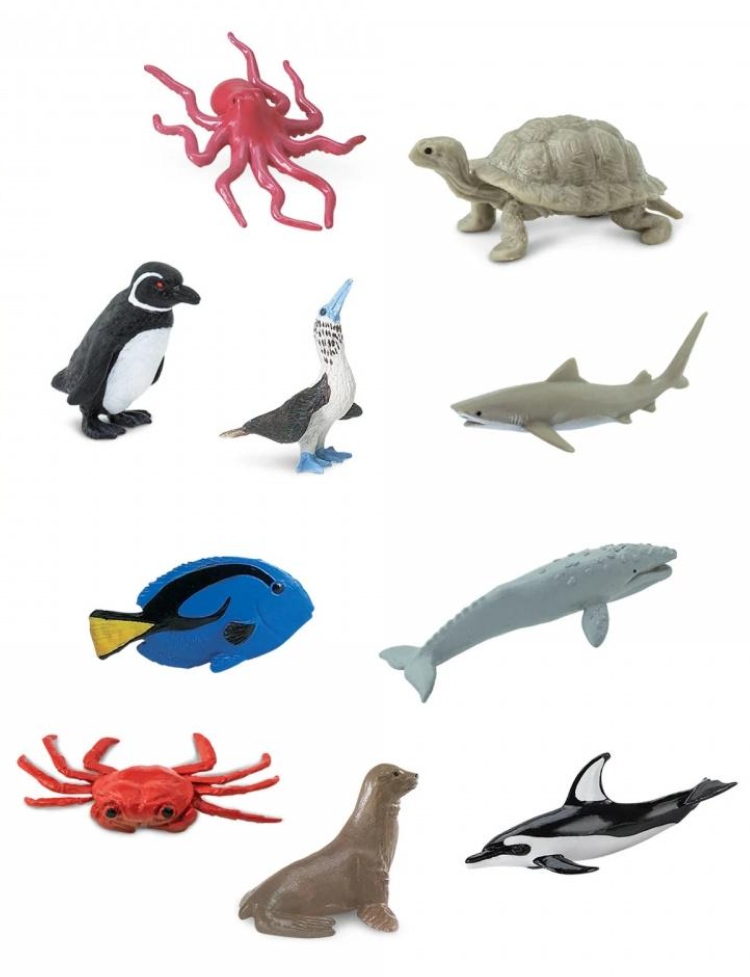 Набір фігурок Safari Ltd Мешканці Тихого океану в тубусі (23345090)