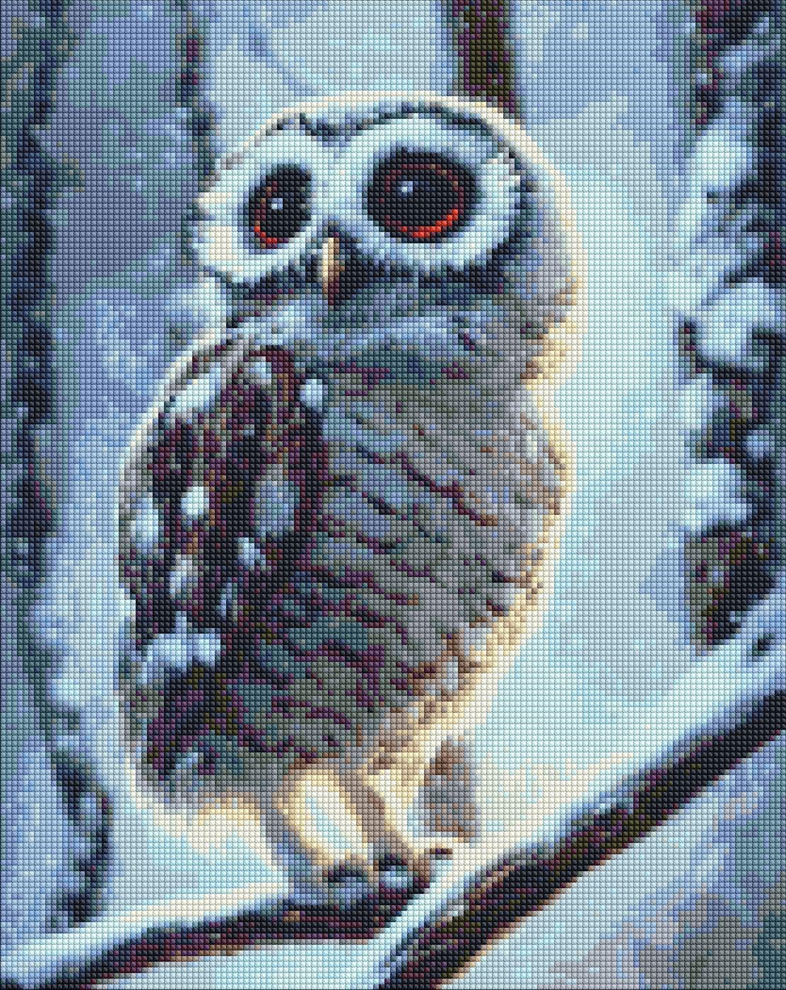 Алмазна мозаїка Ідейка Чудо-сова (AMO7321)