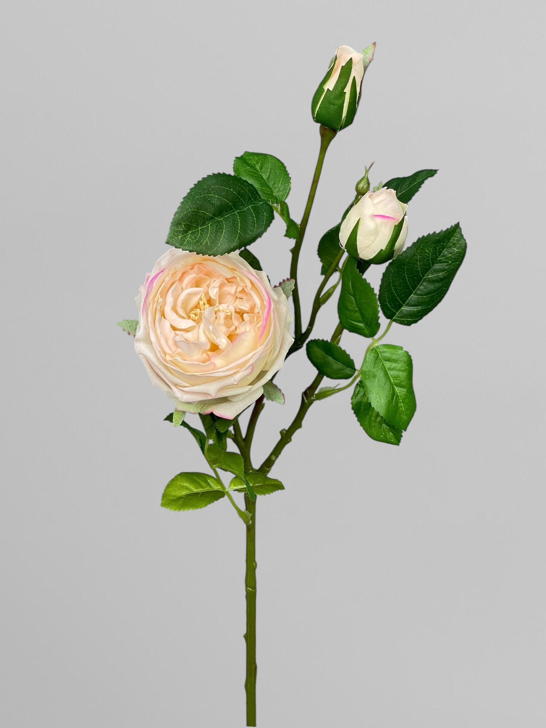 Искусственная роза Дэвида Остина ветка на 3 соцветия 72 см Персиковый (К02035) - фото 1