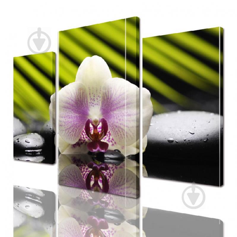 Модульная картина ArtStar цветы Орхидея ADFL0040 размер 120 х 180 см