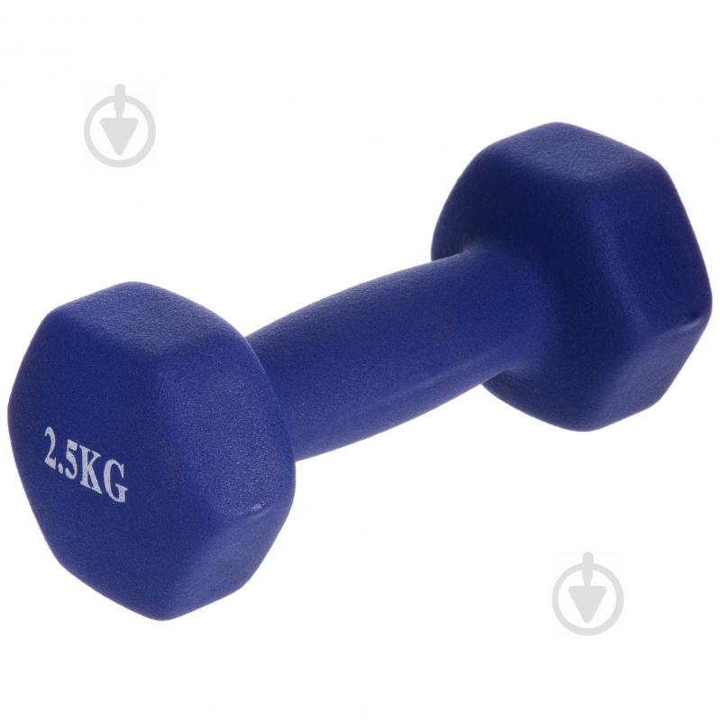 Гантели для фитнеса SP-Planeta Радуга TA-0001-2_5 2,5 Синий