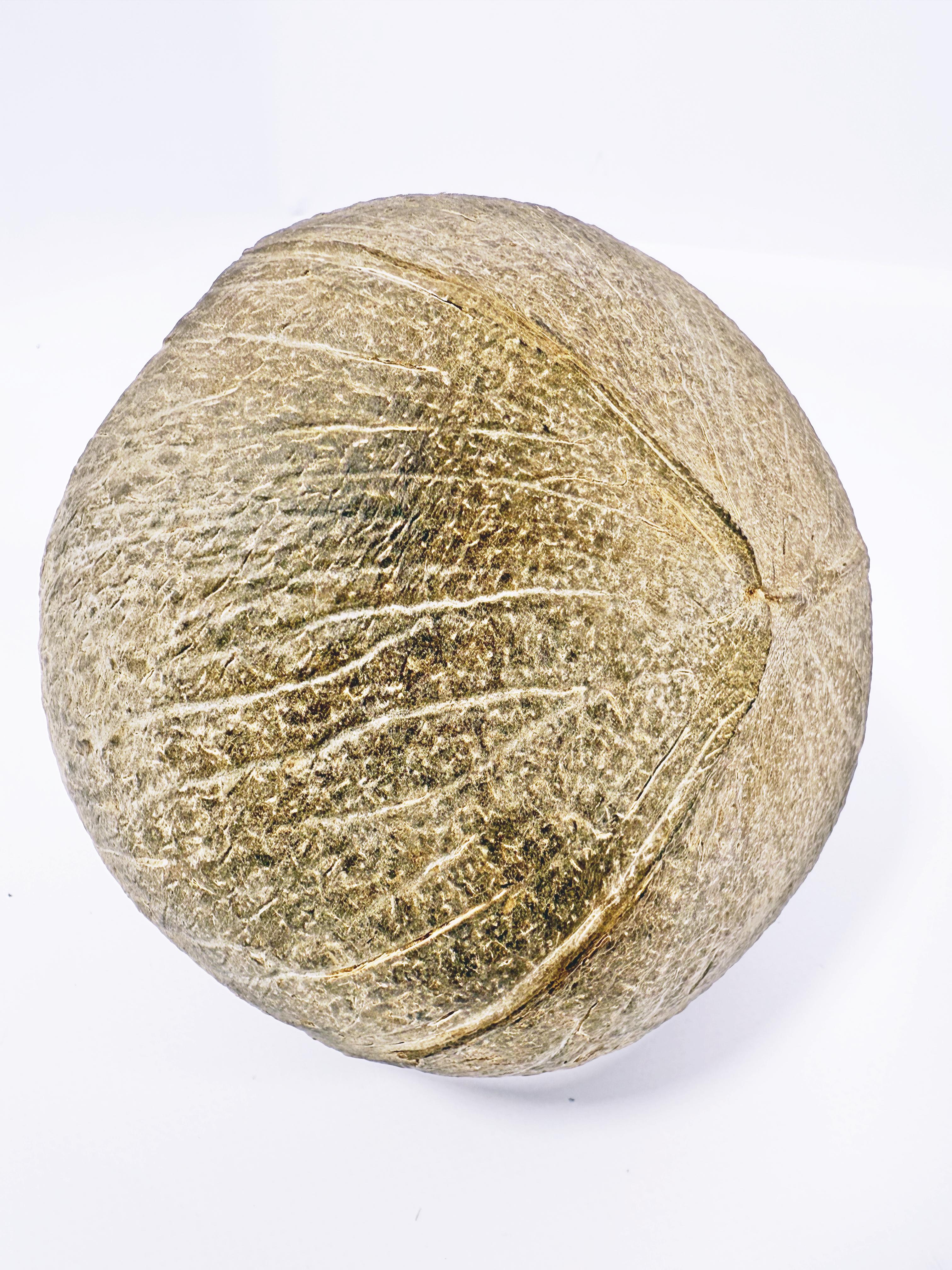 Будиночок-кокос A07 для гризунів та птахів 11 см (28132228) - фото 3