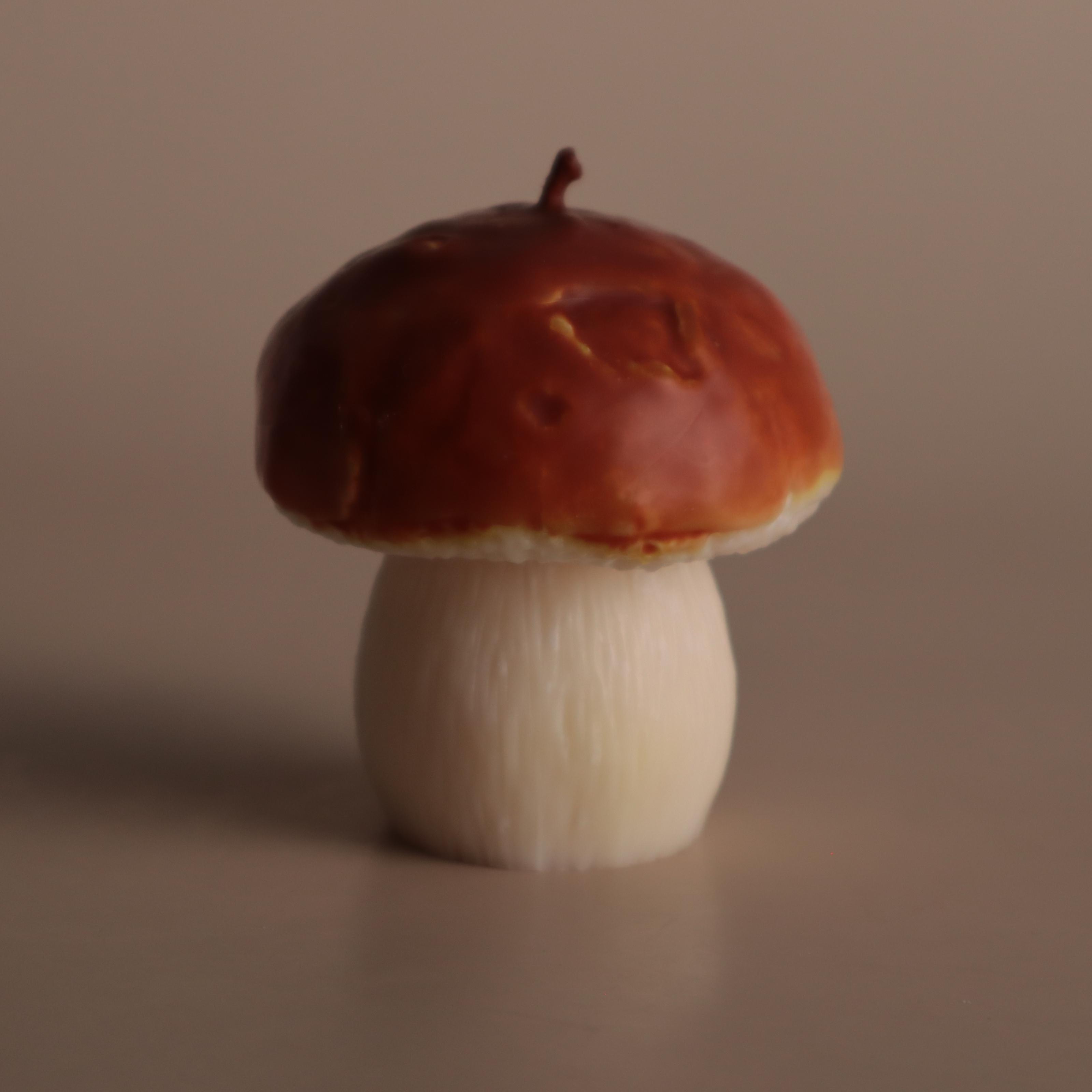 Аромасвічка соєва Wax Harmony Ваніль Білий гриб (1000651)