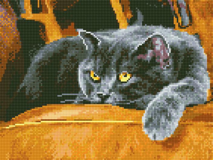 Алмазная мозаика Rainbow Art Сонный кот 30x40 см (EJ1238)