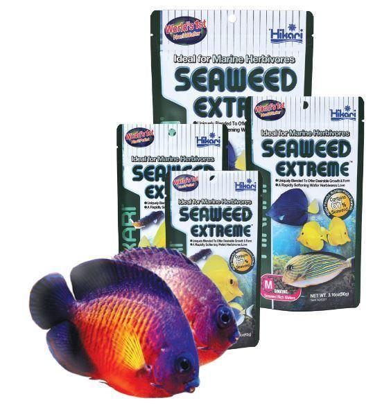 Корм Hikari Marine Seaweed Extreme Small для маленьких растительноядных морских рыбок 3-10 см гранулы ~1 мм/100 г тонущий (25312) - фото 3 Корм Hikari Marine Seaweed Extreme Small для маленьких растительноядных морских рыбок 3-10 см гранулы ~1 мм/100 г тонущий (25312) - фото 3
