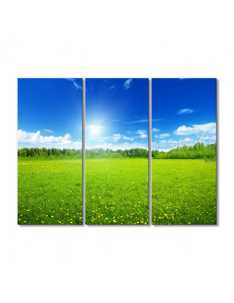 Картина модульная Солнечные лучи над полевыми цветами 3 модуля 90x135 см