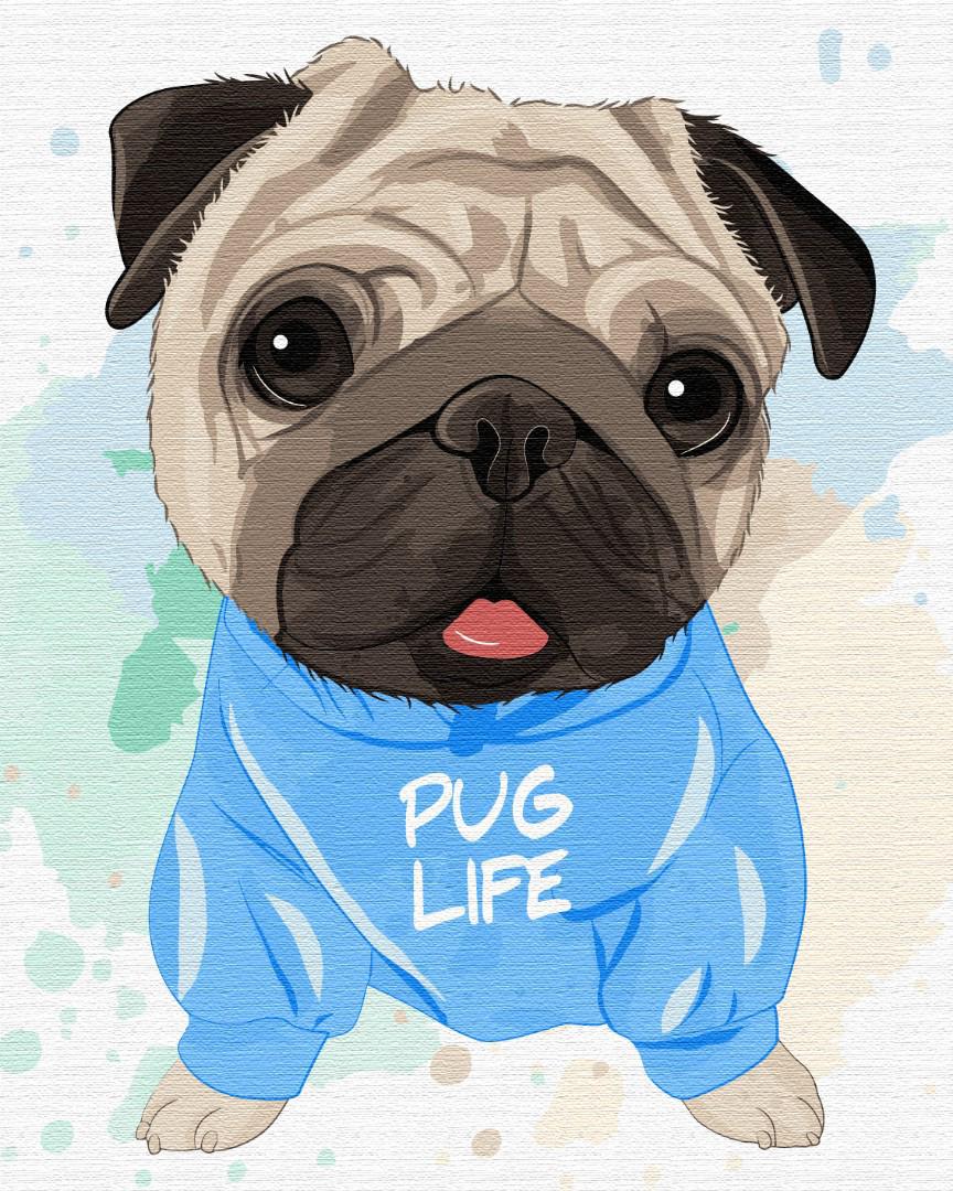 Картина по номерам Brushme Яркий мопсик 48x60 см (BS51352L) Картина по номерам Brushme Яркий мопсик 48x60 см (BS51352L)