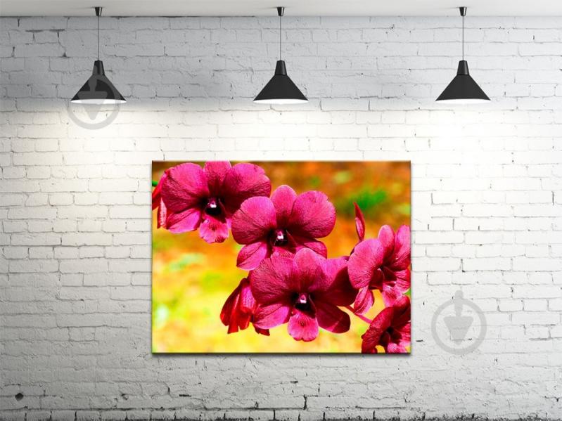 Картина на холсте ProfART S4560-c16 60 x 45 см Цветы (hub_zsYl81706)