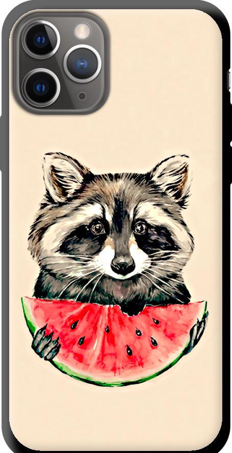 Чехол на iPhone 11 Pro Енотик с арбузом (4605b-1788-42517) Чехол на iPhone 11 Pro Енотик с арбузом (4605b-1788-42517)