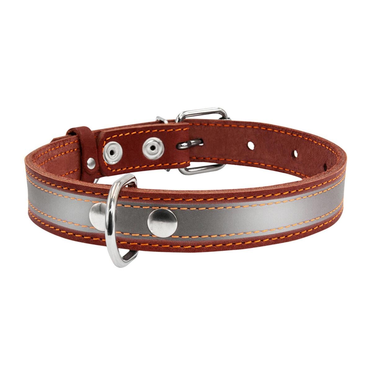 Нашийник одинарний Collar зі світловідбиваючою стрічкою 25 мм/38-50 см Коричневий (02496) Нашийник одинарний Collar зі світловідбиваючою стрічкою 25 мм/38-50 см Коричневий (02496)