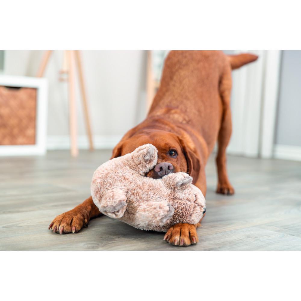 Игрушка для собак Trixie Коала плюшева 25 см (36096) - фото 3 Игрушка для собак Trixie Коала плюшева 25 см (36096) - фото 3