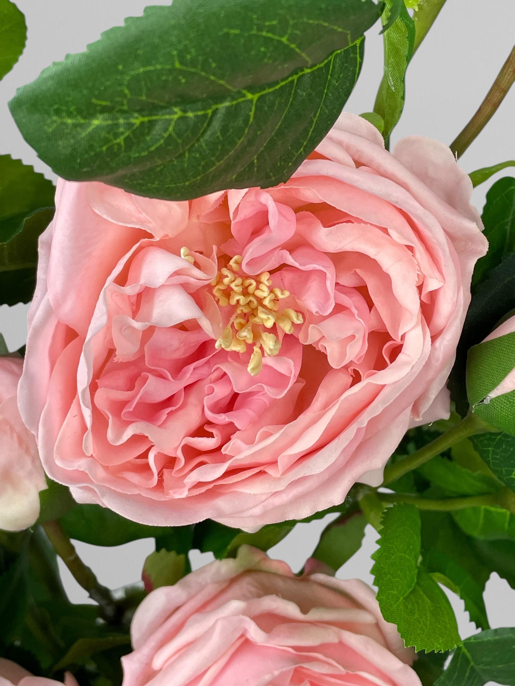 Искусственная английская роза Дэвида Остина 72 см Розовый (К02036) - фото 5 Искусственная английская роза Дэвида Остина 72 см Розовый (К02036) - фото 5