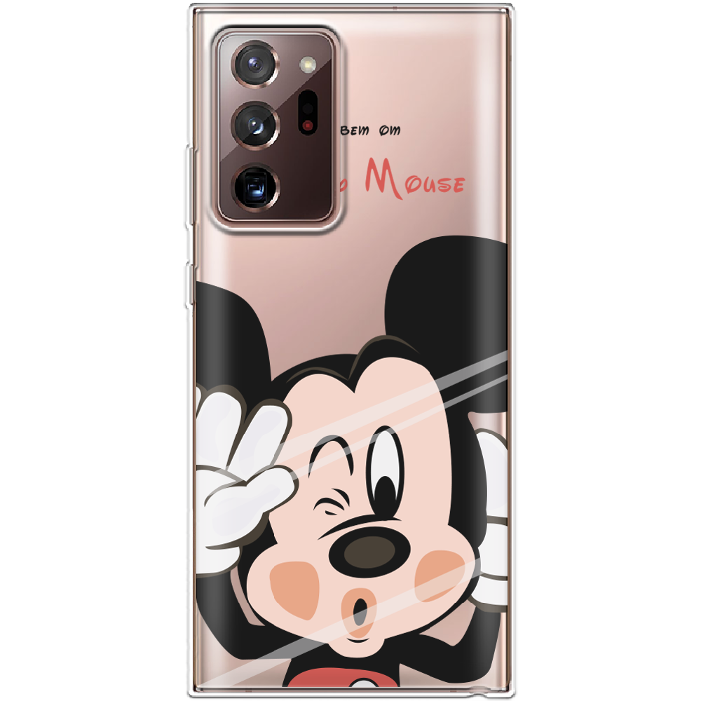 Чехол Boxface Samsung N985 Galaxy Note 20 Ultra Mister M Прозрачный силикон (40573-cc58-40573)