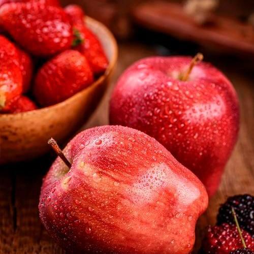 Сажанець Яблуня Ред Чіф зимовий сорт пізній термін дозрівання (25685)