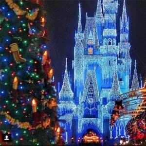 Гірлянда-нитка світлодіодна Крапля роси 10 м 100 LED на батарейках/USB 220В Різнокольоровий - фото 5 Гірлянда-нитка світлодіодна Крапля роси 10 м 100 LED на батарейках/USB 220В Різнокольоровий - фото 5