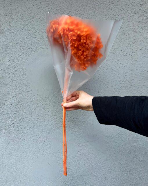 Гортензия стабилизированная на стебле Оранжевый