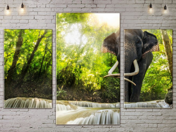 Картина модульна 3 частини ArtStar Слон 120х180 см ADNA0082