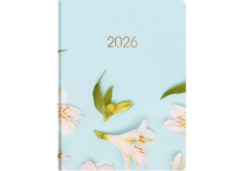 Дневник датированный 2026 Economix Color A5 336 стр. принт (E21898)