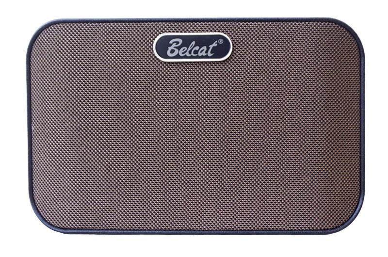 Комбопідсилювач портативний для акустичних інструментів Belcat AN-8D (25491671)