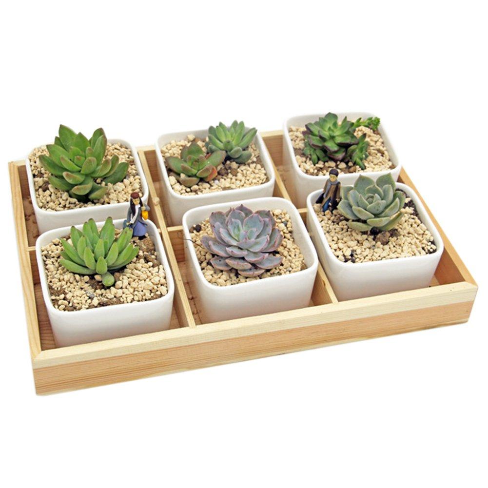 Кашпо з дерева Таволга 6 Бланже (КАШ-601201)