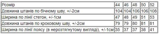 Брюки чоловічі Носи Своє р. 46 Темно-синій (8158-025-1) - фото 5