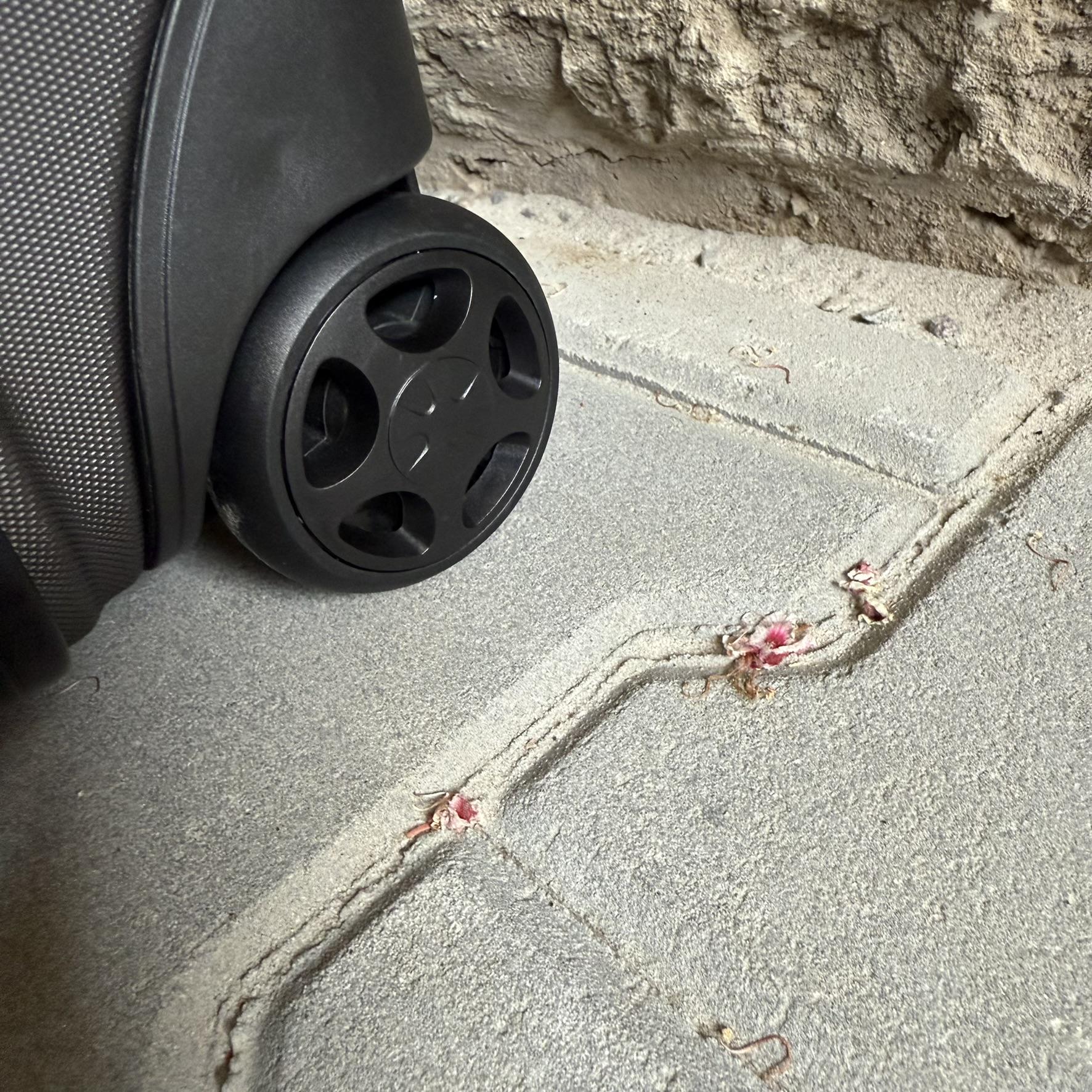 Мини-чемодан Wings PEA01 дорожный XXS Графитовый (26630748) - фото 7