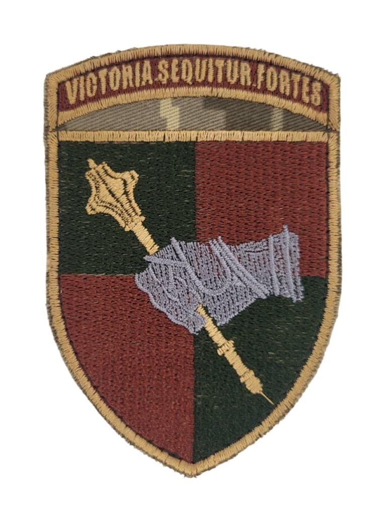 Шеврон Командование сухопутных войск "Viktoria Sequitur.Fortes" 7х10,5 см Пиксель (3574814)