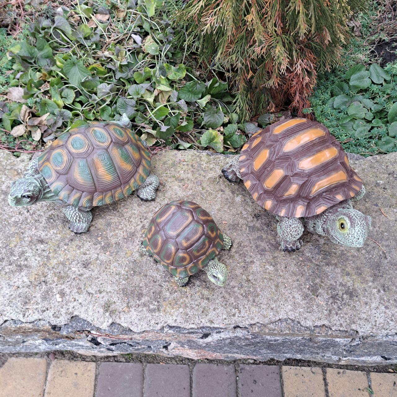 Комплект фигур Семья черепах №2 - фото 2 Комплект фигур Семья черепах №2 - фото 2