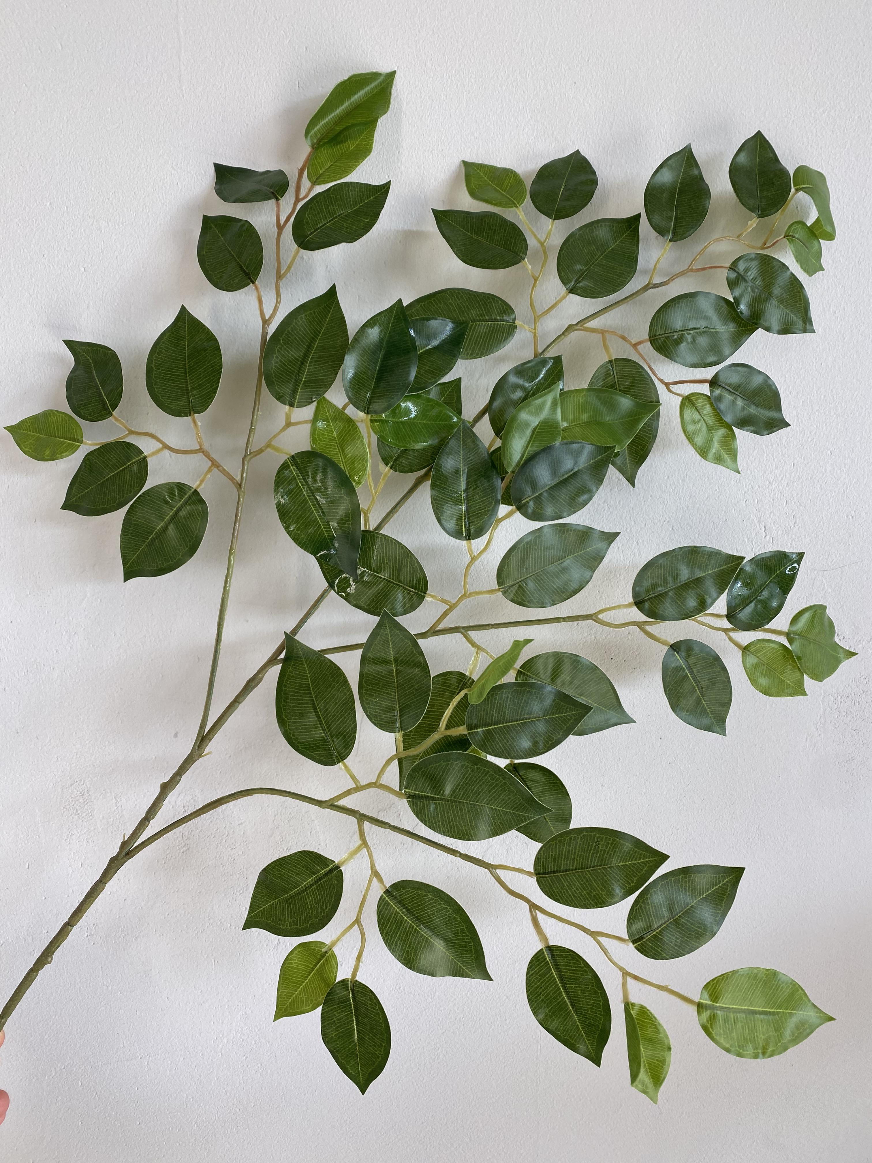 Фікус Бенджаміна штучний пачка 12 шт. Зелений - фото 6 Фікус Бенджаміна штучний пачка 12 шт. Зелений - фото 6